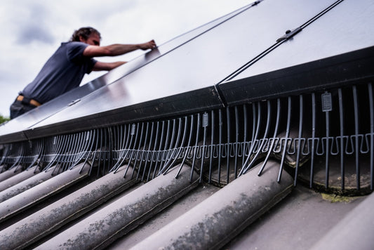 Common Mistakes When Installing Bird Protection - We Protect Solar