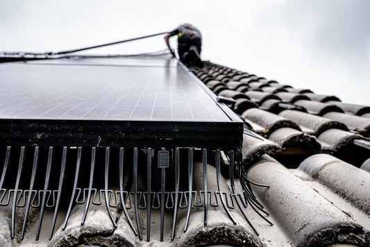 Tips for Solar Panel Owners: Avoiding Bird Nesting - We Protect Solar