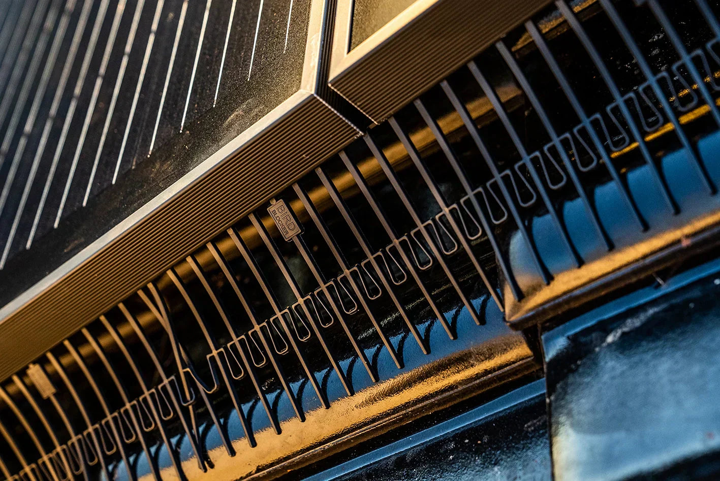 How BirdBlocker Prevents Costly Repairs to Your Solar Panel