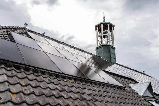 Birds Under Solar Panels: Why & How to Stop It - We Protect Solar