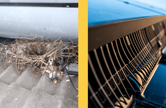 A Must-Have for Spanish Solar Installations: BirdBlocker Explained - We Protect Solar