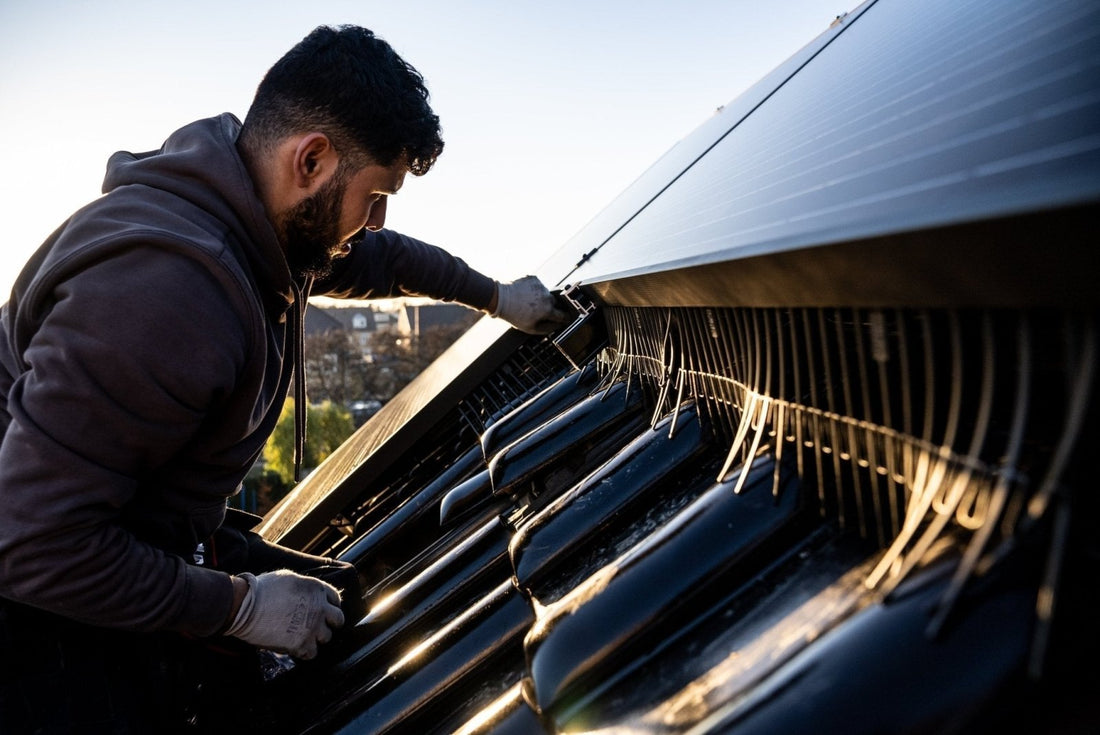 Jackdaws Under Your Solar Panels? Here's What To Do - We Protect Solar