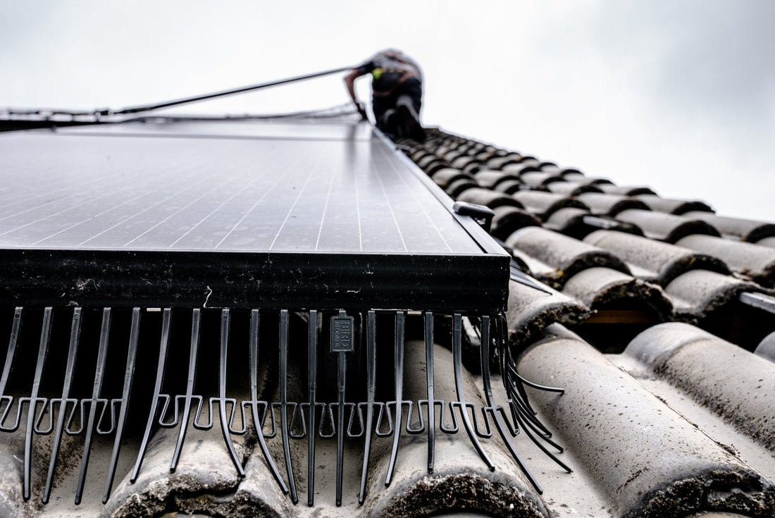 Tips for Solar Panel Owners: Avoiding Bird Nesting - We Protect Solar