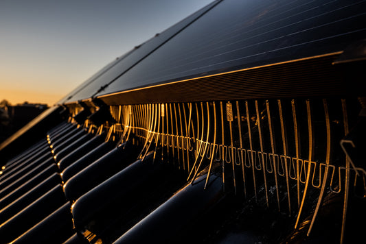 Bird proofing on solar panels