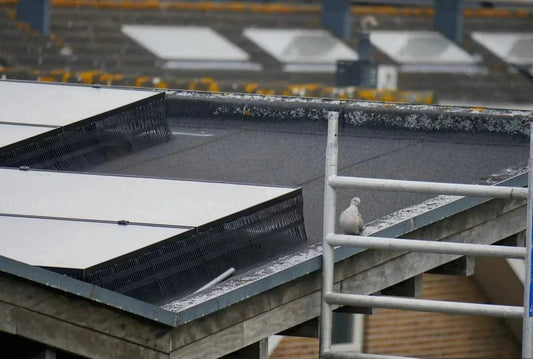 How to Stop Pigeons Nesting Under Solar Panels? - We Protect Solar