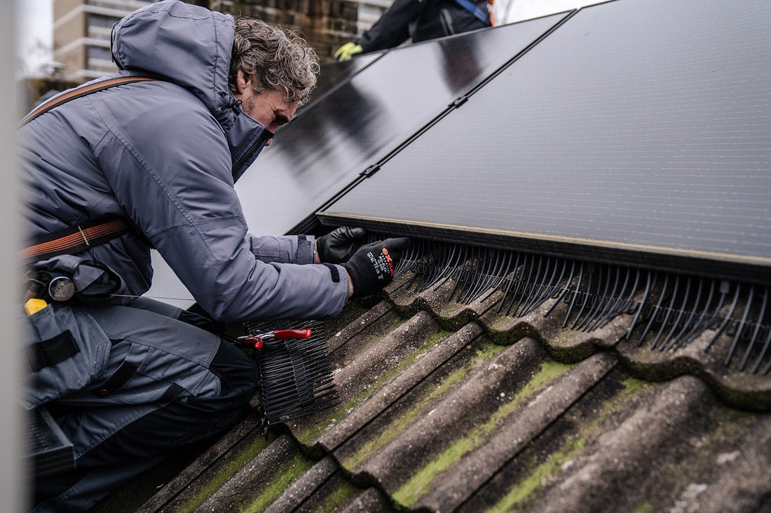 Birds Nesting? Cables Exposed? Solve Both Today - We Protect Solar