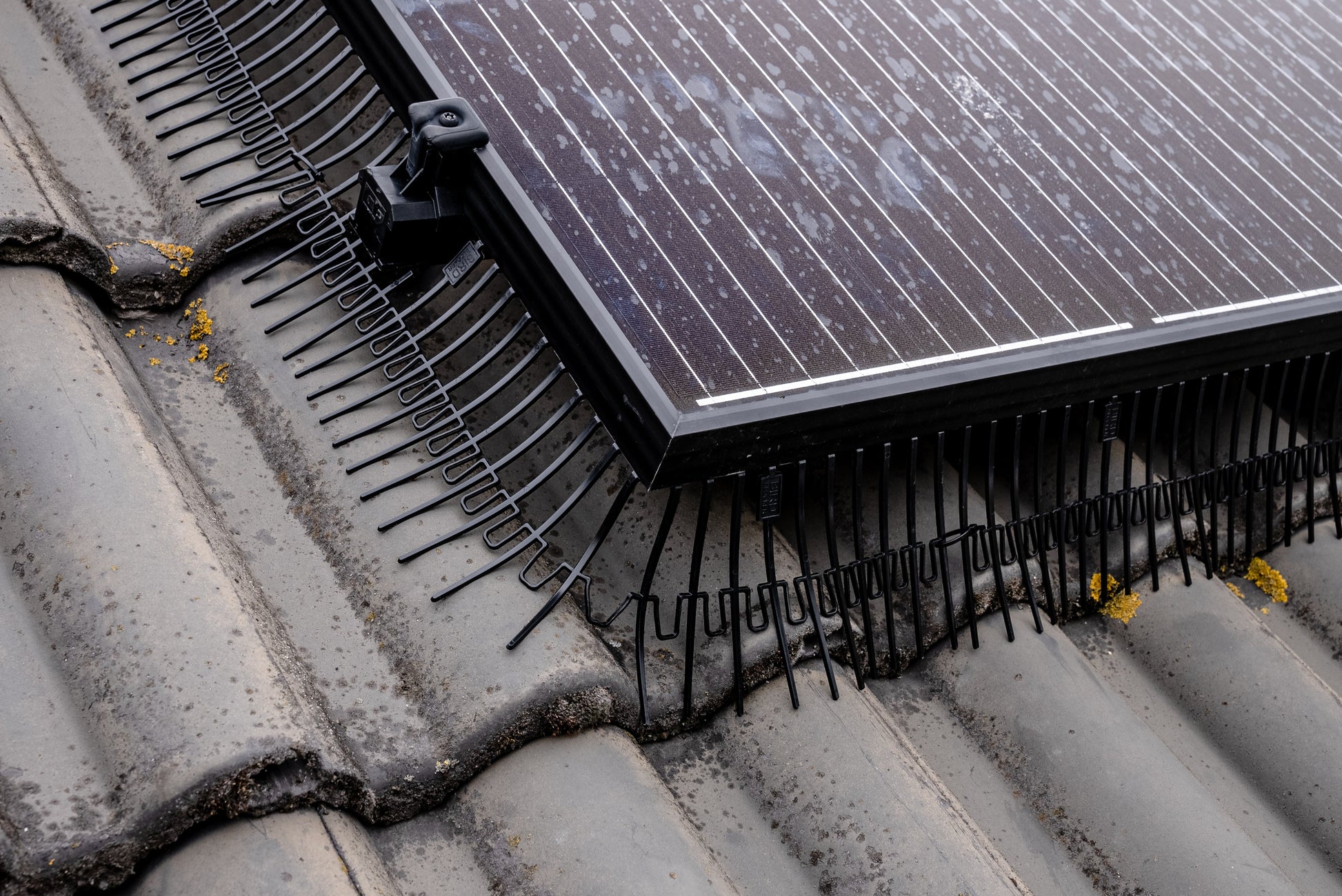 BirdBlocker 125mm installed on solar panels on a roof
